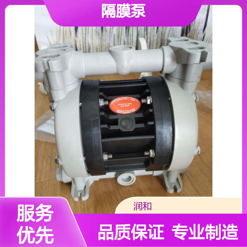 意大利DEBEM气动隔膜泵 离心泵 插桶泵 腐蚀性液体输送专家
