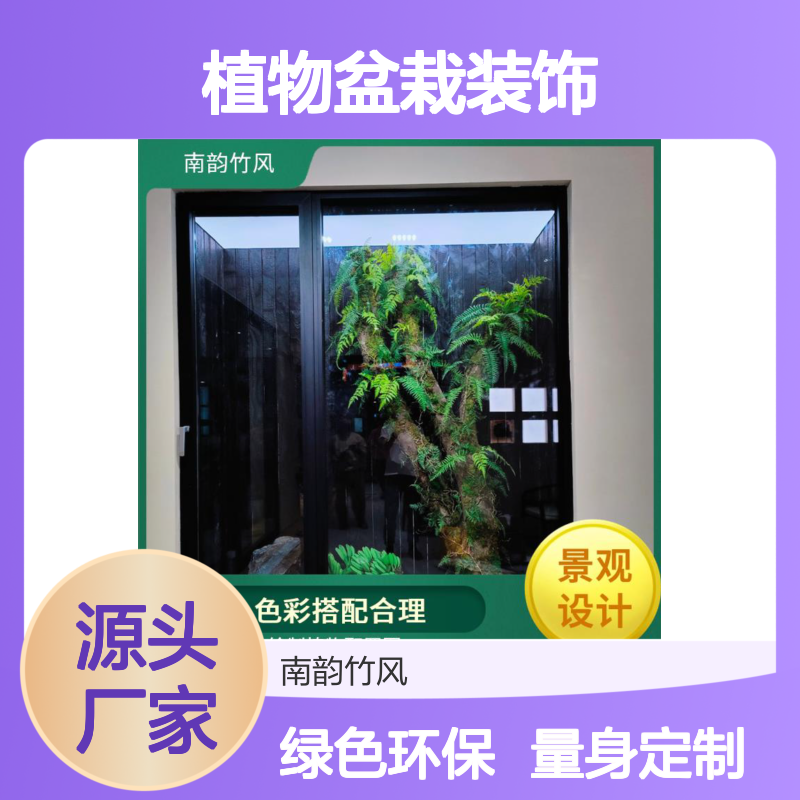 南韵竹风 植物盆栽 垂直景观 定制服务 专业施工