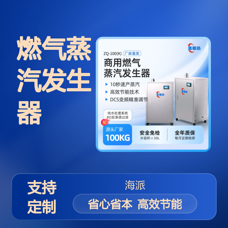 定制燃气蒸汽发生器 0.5吨燃气蒸汽发生器 容水29升免报检免办证