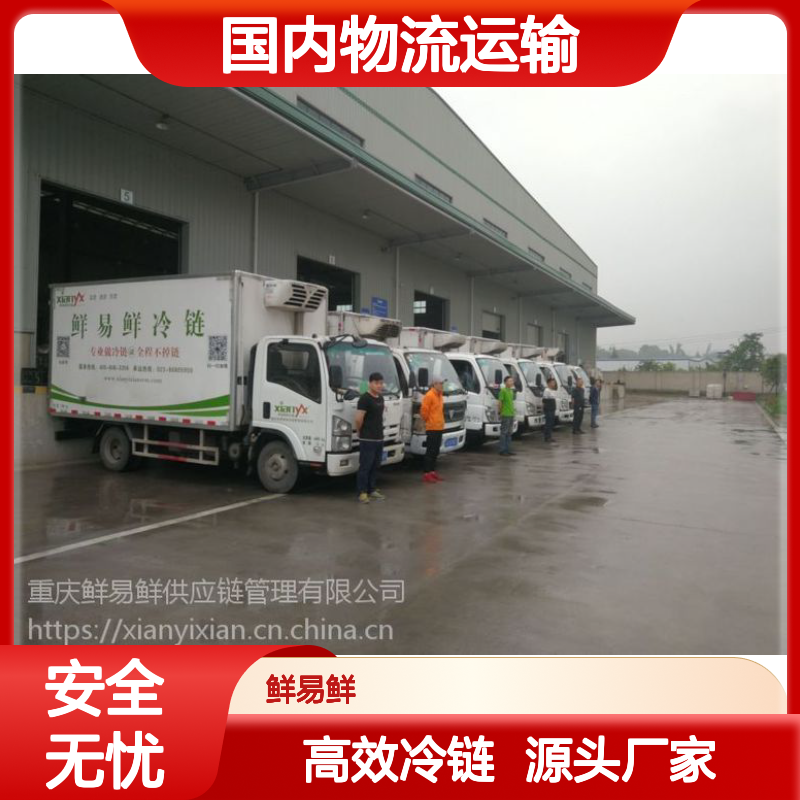 国内物流运输 冷链物流 冷藏配送 高效快捷准时到达 鲜易鲜