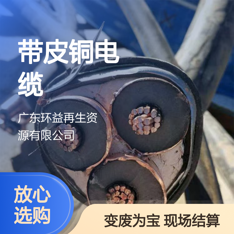 回收带皮铜电缆 现场结算 变废为宝 资质齐全 上门服务
