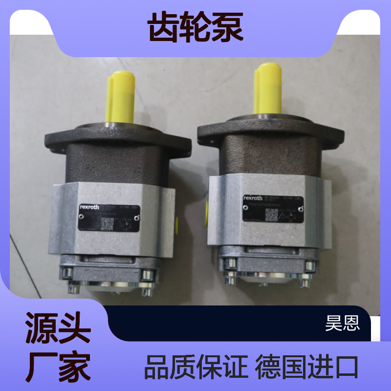 力士乐REXROTH齿轮泵 PGF2-22/016RE20VU2 德国进口