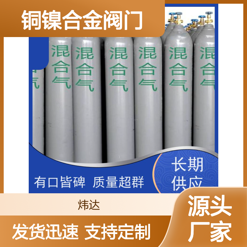 炜达标准混合气 铜镍合金阀门 质检仪器专用 品类齐全