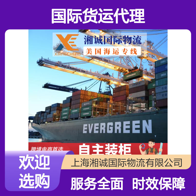 湘诚国际 海运物流专线 欧洲fba空运双清包税 高效安全直达