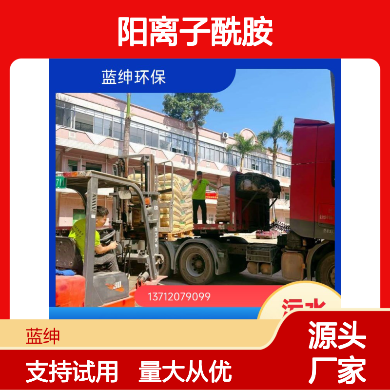 蓝绅环保阳离子酰胺PAM水处理剂 高效除臭 免费寄样