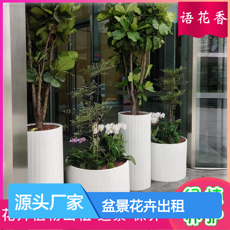 盆景花卉出租 绿植盆栽组合租赁 长期短期灵活租摆服务