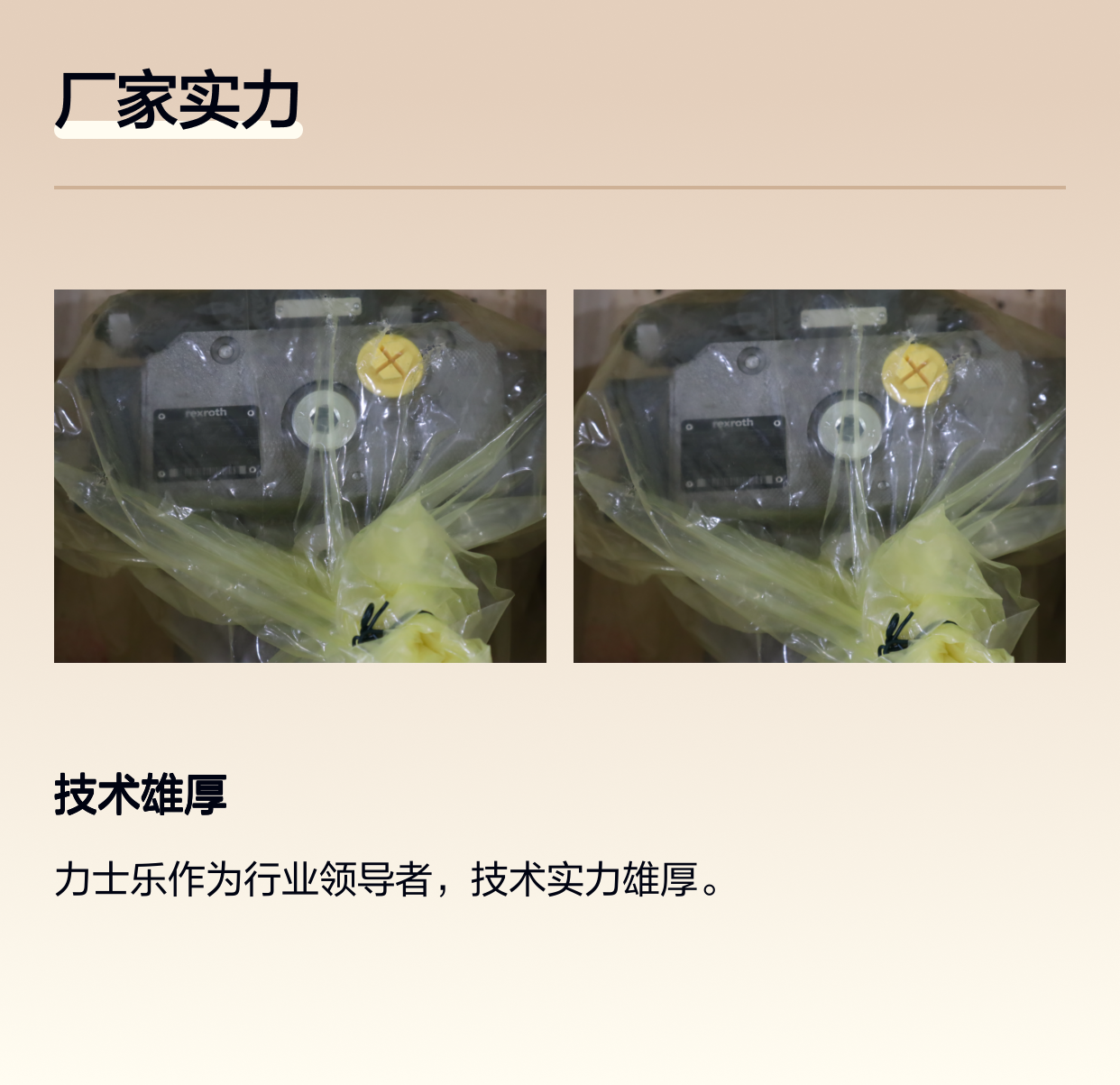 A4VSO71DR/10R-PPB13N00 R902423294 德国力士乐REXROTH柱塞泵