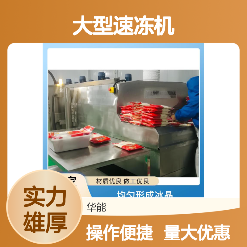 大型速冻机厂家定制 酒建家校美术院适用 单体不粘连速冻效果好