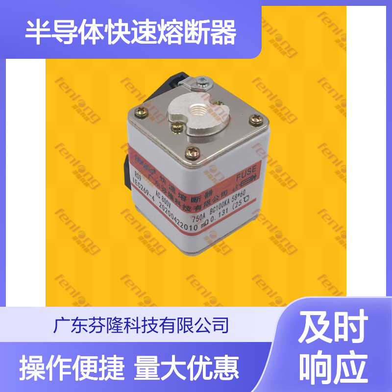 RS4-P101N/P102N/P104N半导体快速熔断器 方管螺栓连接式保护设备