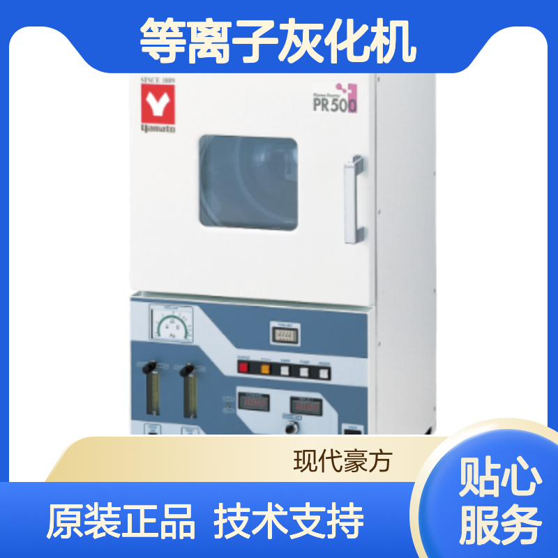 PR510等离子灰化机yamato有控制屏大容量腔口