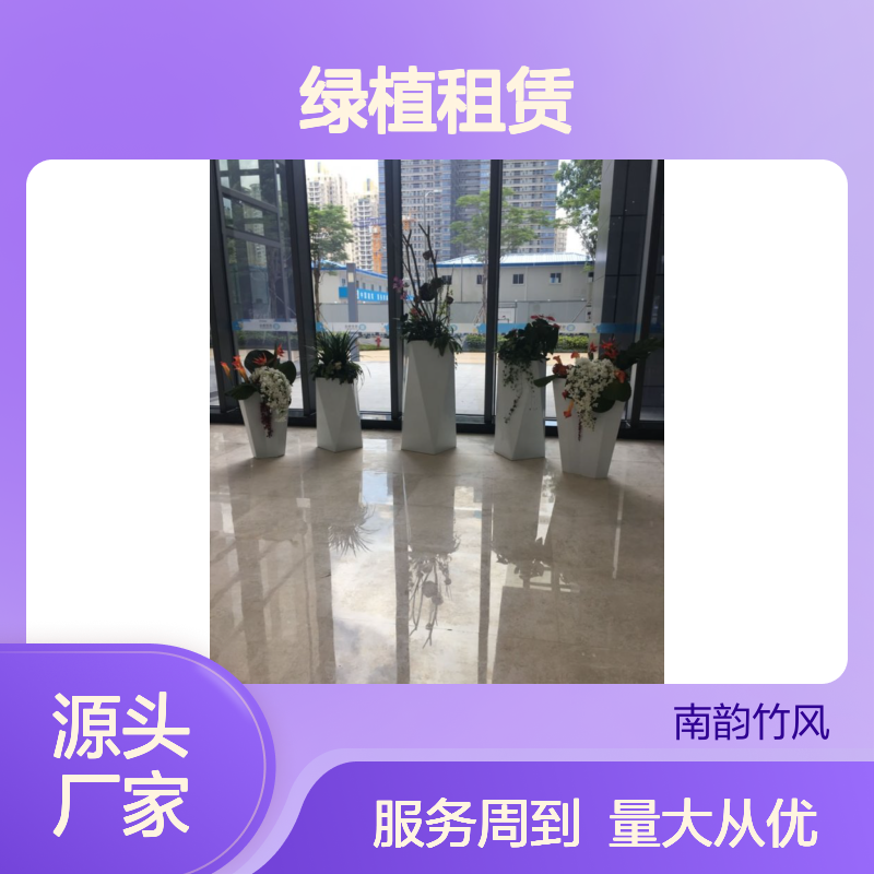 绿植租赁专家南韵竹风,承接绿化工程 品种多样