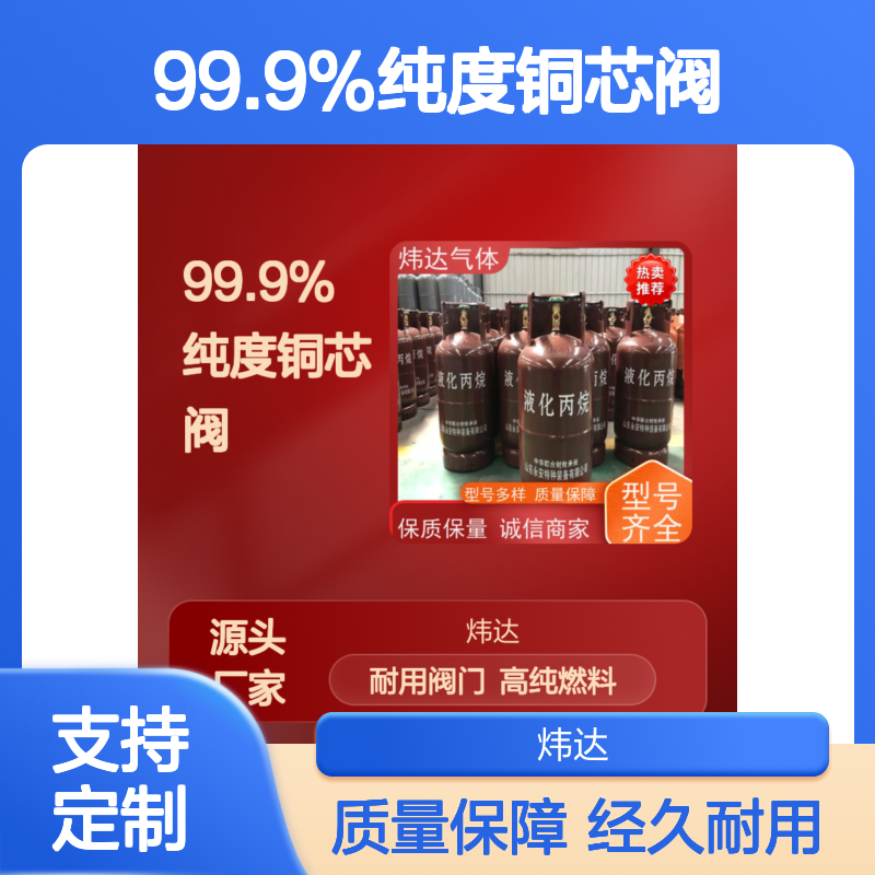 品质保证 炜达气体丙烷（液化气）实验室燃料 99.9%纯度铜芯阀