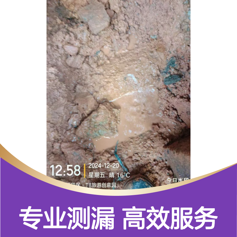 大亚湾暗埋水管降压探测，惠州学校水池溢水捡漏，供水管查漏点