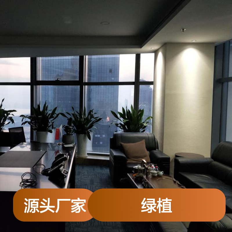 绿植租摆服务 办公室酒店植物盆栽装饰 美化环境 净化空气