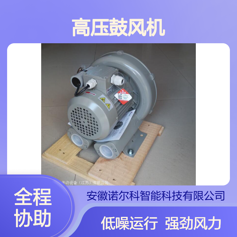 达纲GD高压鼓风机DG-300-11 0.75kw 工业级强劲风力供应
