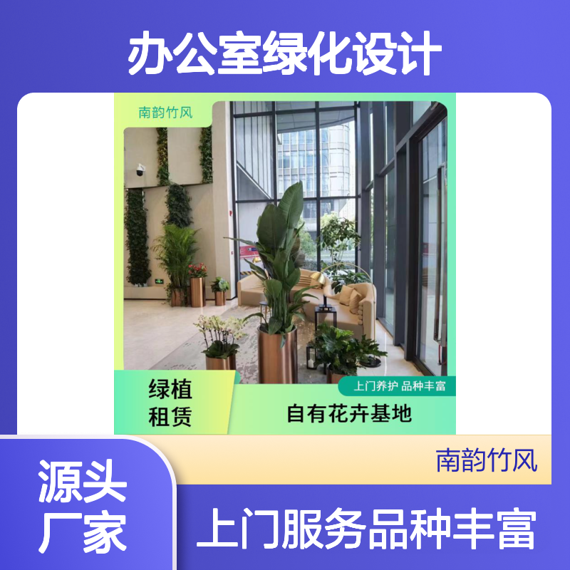 植物租赁服务 办公室绿化设计 现场定制 覆盖广泛