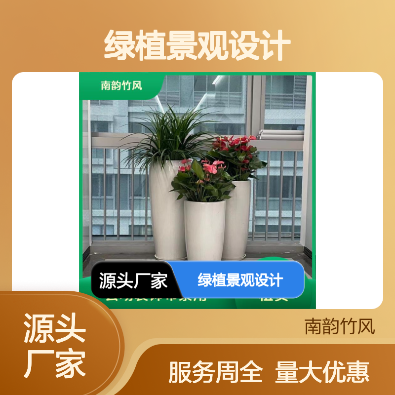 南韵竹风 绿植景观设计 租摆服务 基地直供 品种多样