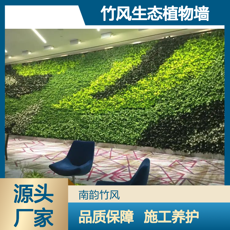 南韵竹风生态植物墙 垂直绿化施工养护一体化 绿化养护管理
