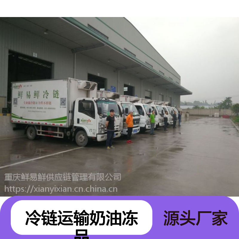 广州冷链运输奶油冻品多品类冷冻配送 特快调度分配冷藏货运专线