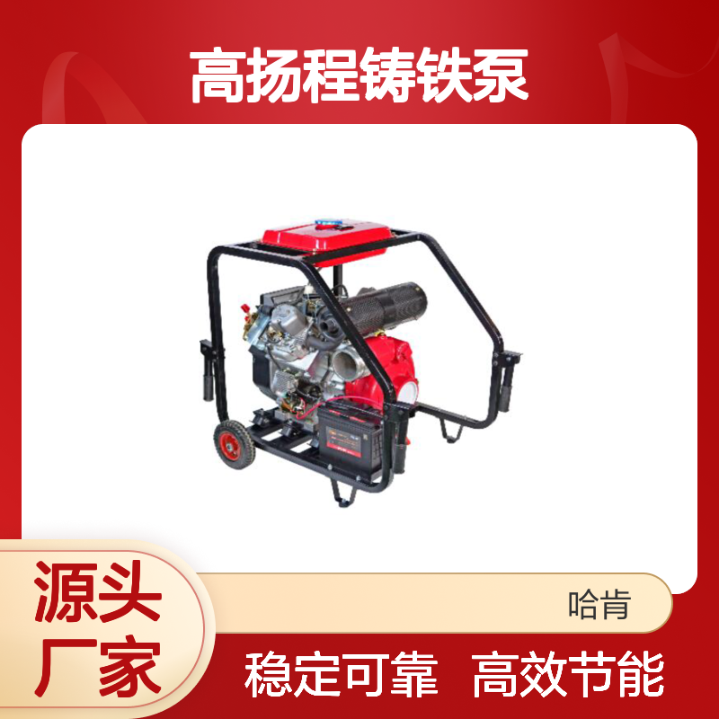 哈肯国际供应 高扬程铸铁泵系列 双缸柴油机 四冲程风冷