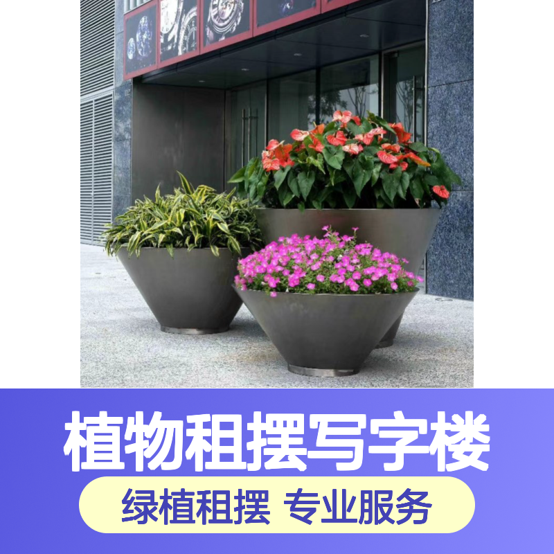 室内绿植租摆服务 高中低组合盆栽 植物场景布置 写字楼办公室优选