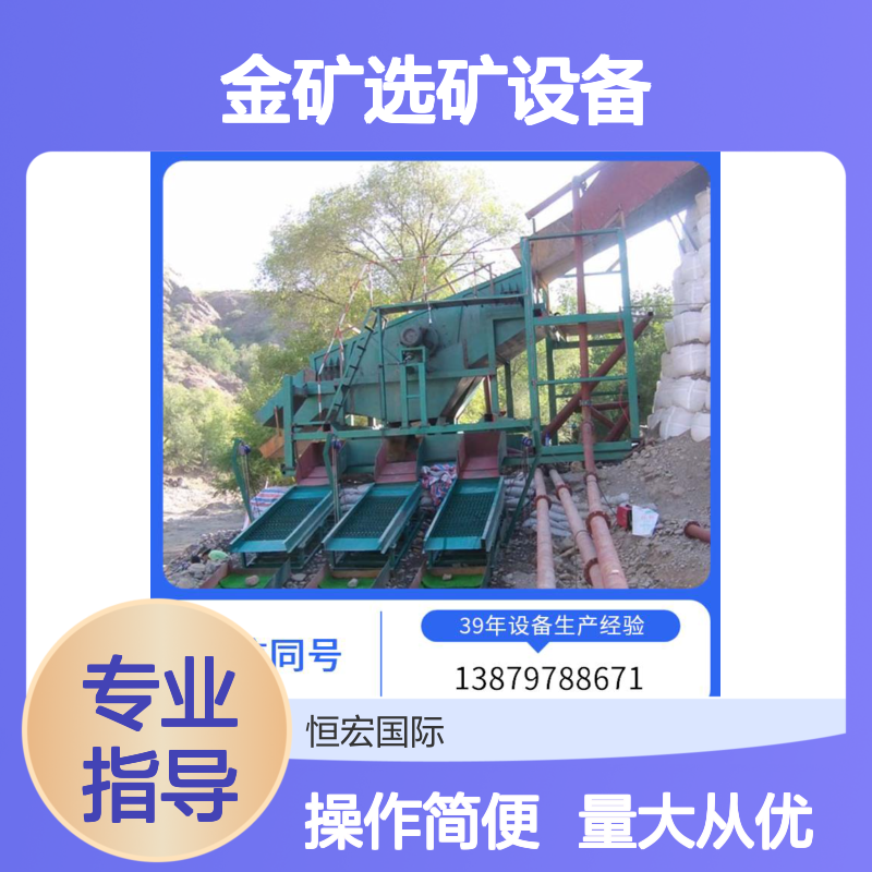 沙金选矿设备 中型绿色选矿 镍矿金矿加工精选流程专用设备