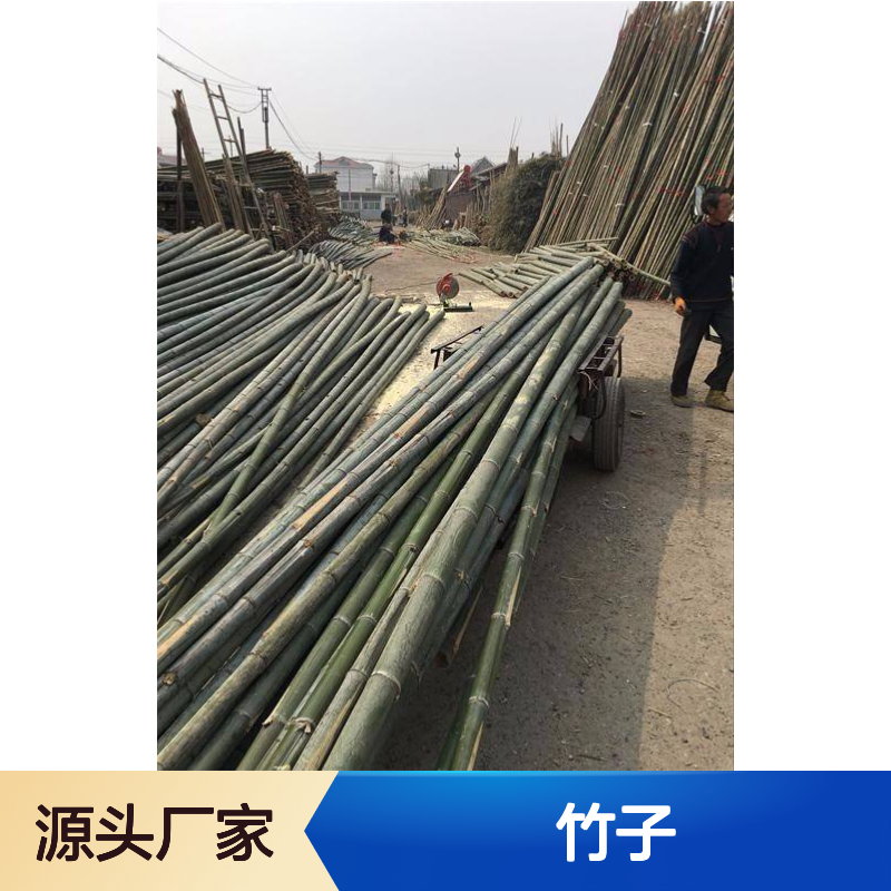 深 圳离我近500米的竹竿市场 防腐大竹子2-9米长防蛀装修竹
