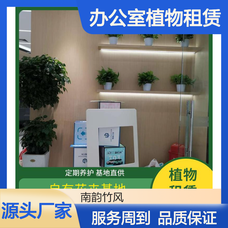 办公室植物租赁 定期上门养护 品种丰富 免费换新