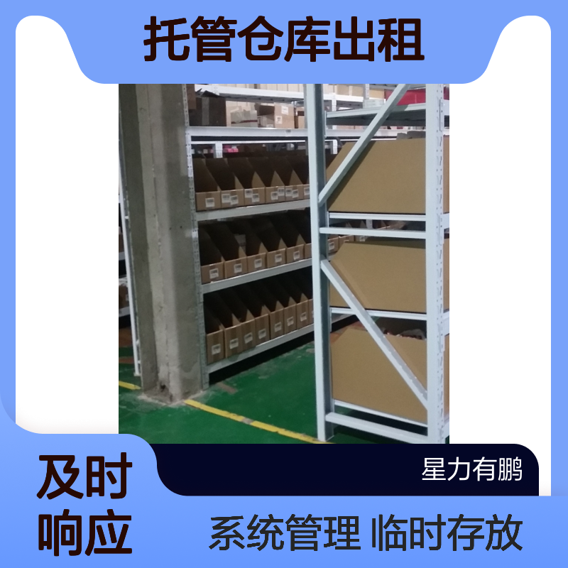 嘉定区托管仓库出租，临时存放，系统化管理，24h服务