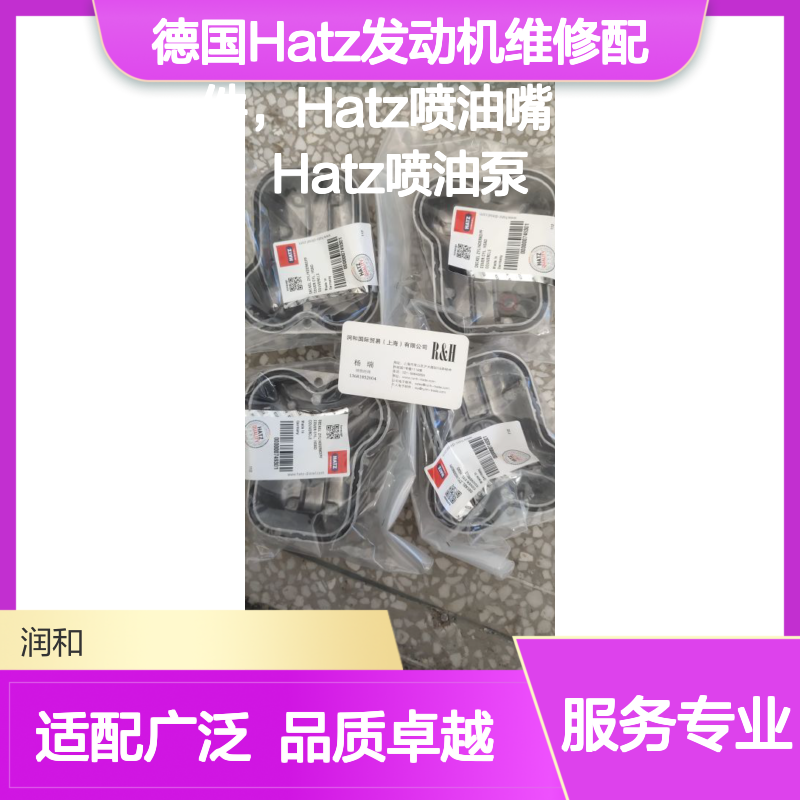 Hatz发动机维修配件 喷油嘴喷油泵 适配多型号原装配件
