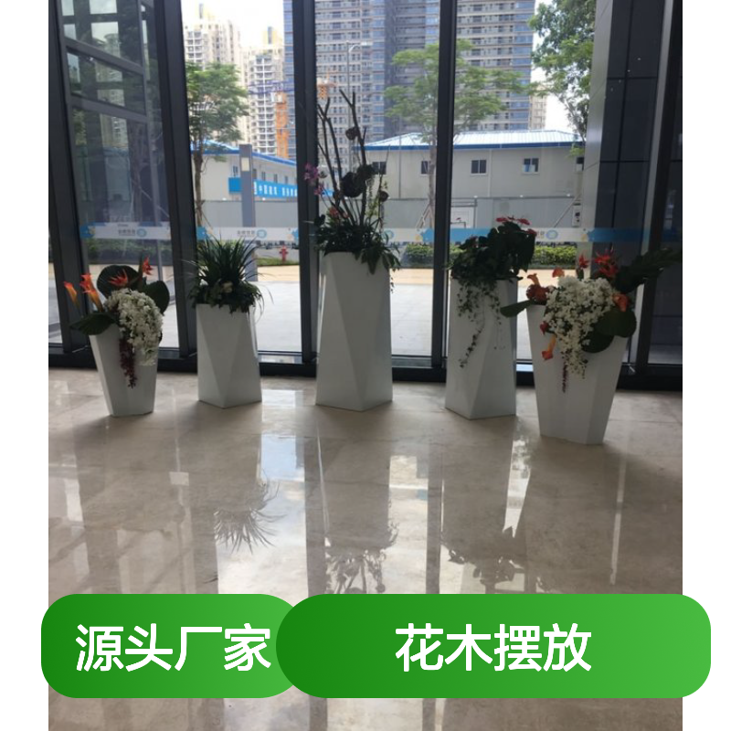 南韵竹风 花木摆放 租赁服务 成活率高 品种多样
