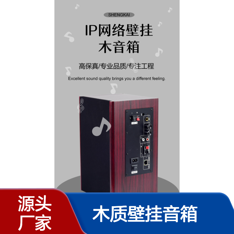 RDI木质壁挂音箱 20W功率 IP广播系统 教学听力播放 校园广播