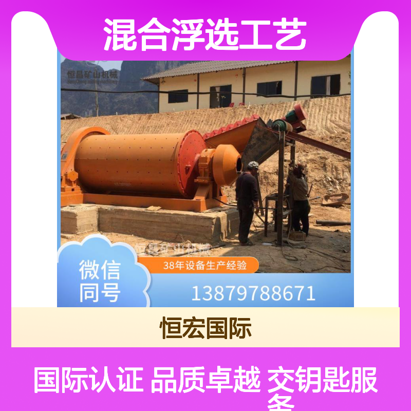 铅锌矿选矿生产线 优先混合浮选工艺 分选铅精矿锌精矿选金矿设备