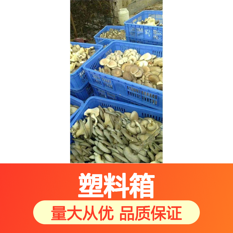 乔丰塑料箱 周转箱 塑胶箱 多规格可选 质轻坚固