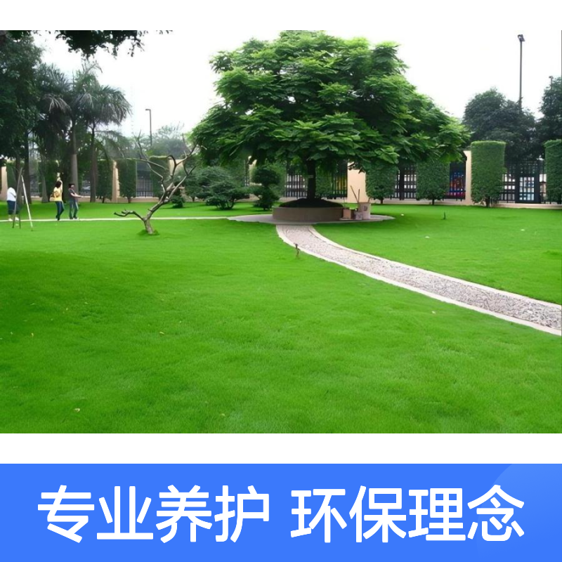 绿化养护服务 厂区草坪维护 行业不同园林要求不同 环保理念 省心省时