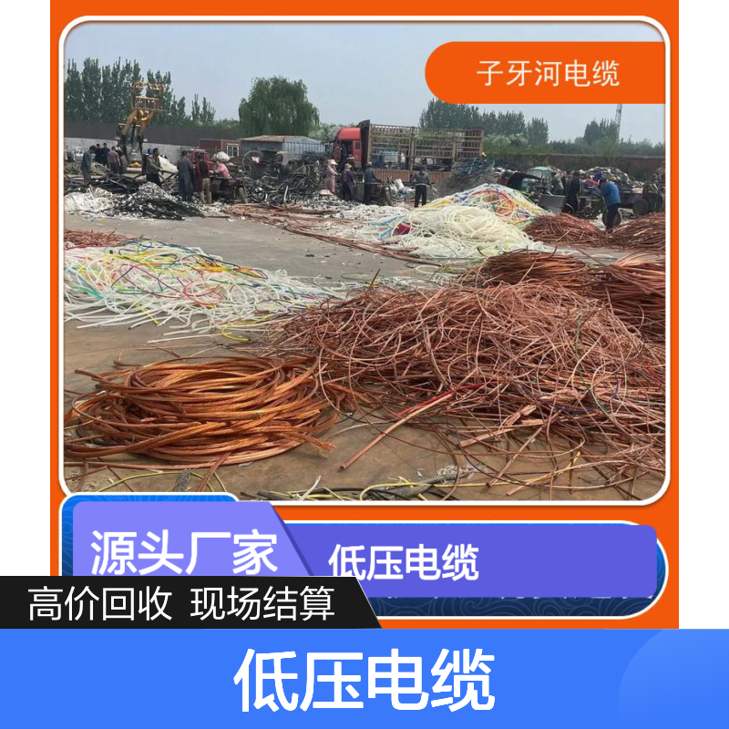子牙河科技 低压电缆 专业回收 现场结算 工程剩余电缆高价收