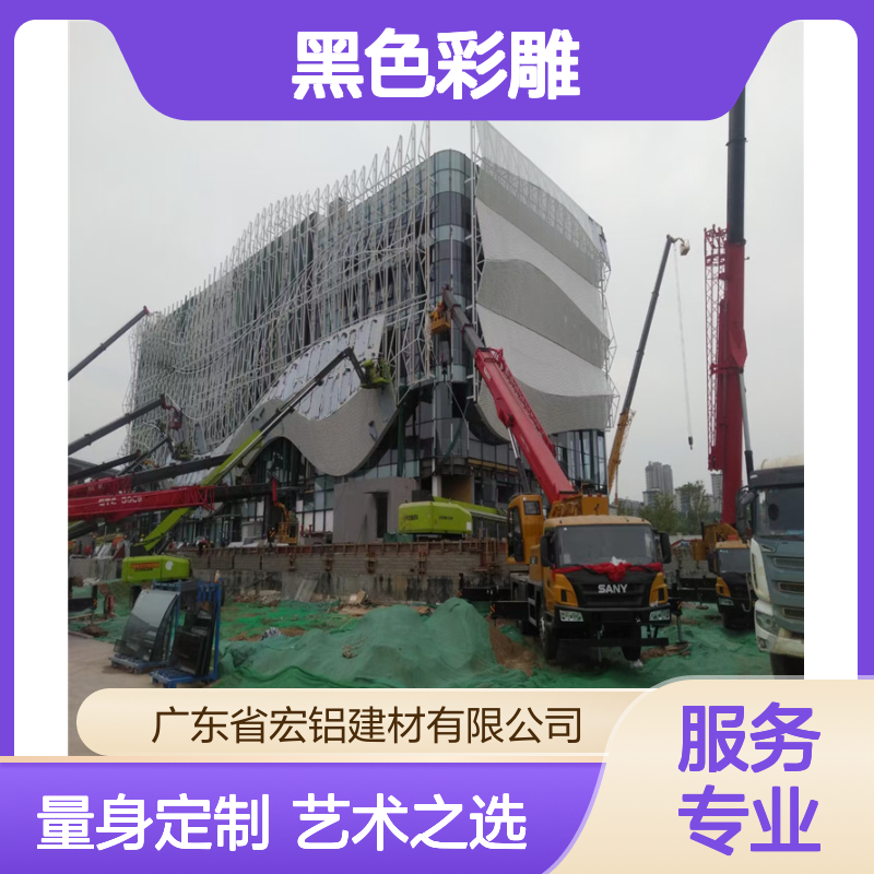 黑色彩雕铝单板 定制装饰板 勾勒梦幻轮廓 打造光影交织空间