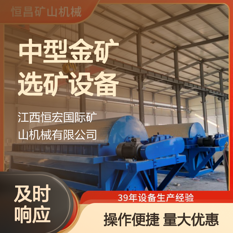 中型金矿选矿设备 锡矿精细研磨 石榴石采矿高效处理机器