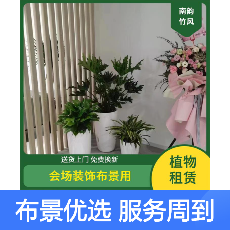 南韵竹风绿植租摆 会场装饰布景优选 专业设计