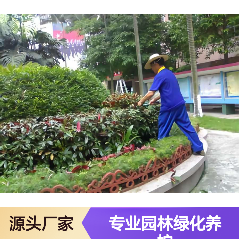 小区绿化养护 专业园林绿化养护 花草树木用心养植 绿化施工 南韵竹风
