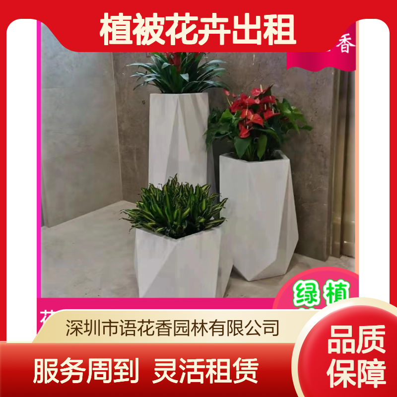 植被花卉出租 专业团队设计 室内外盆栽组合租赁 全程养护服务