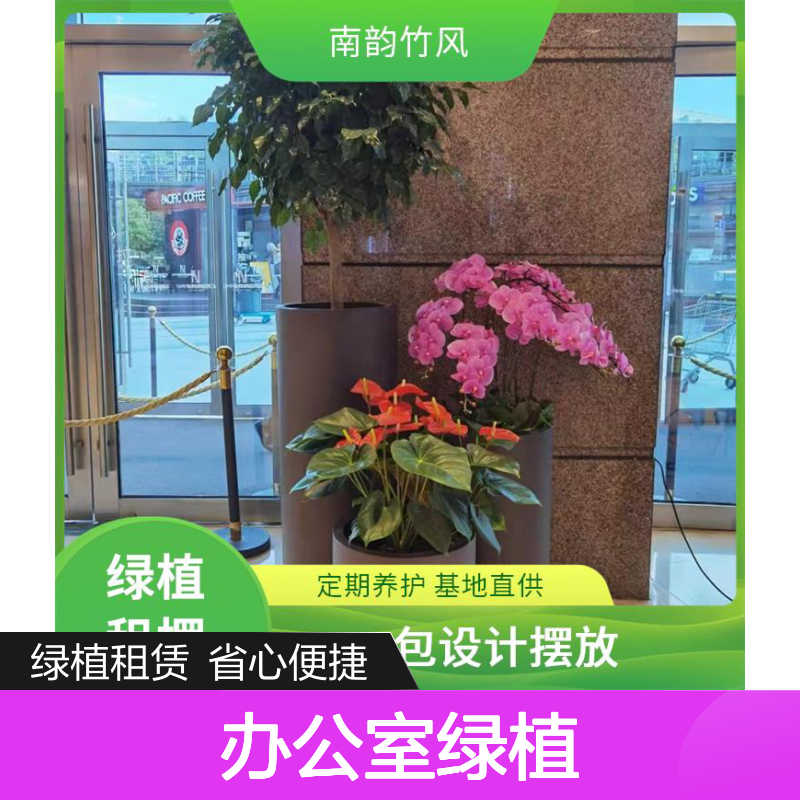 绿植租摆服务 办公室装饰优选 品种丰富 专业养护