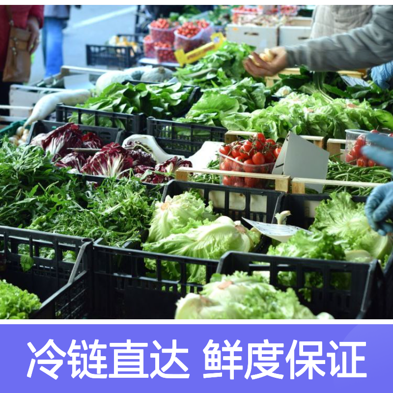 食材配送 奶酪食材 奶茶咖啡店专用 上门配送鲜易鲜冷链