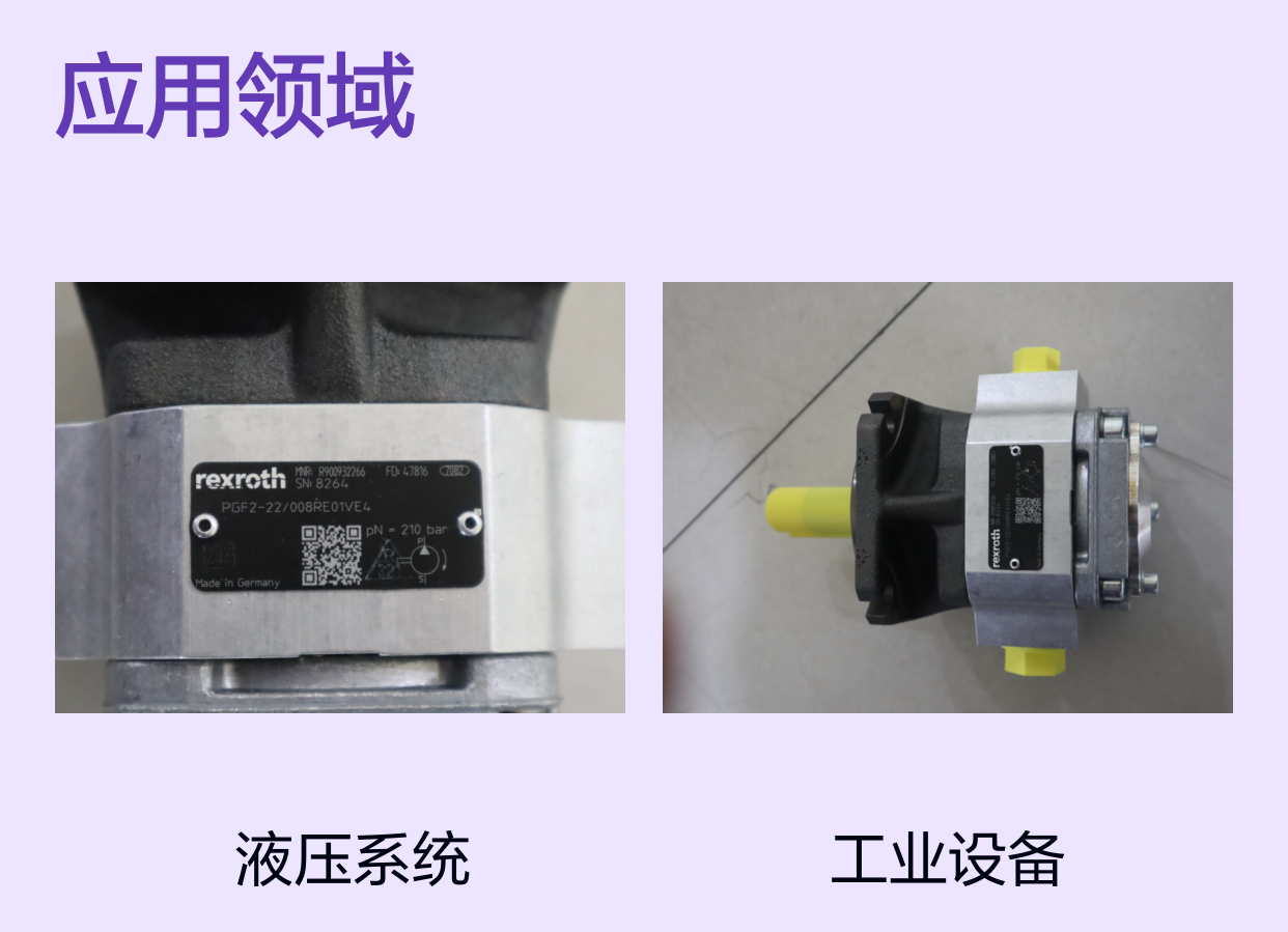 PGF2-20/008RE01VE4 R900932266 德国力士乐REXROTH齿轮泵