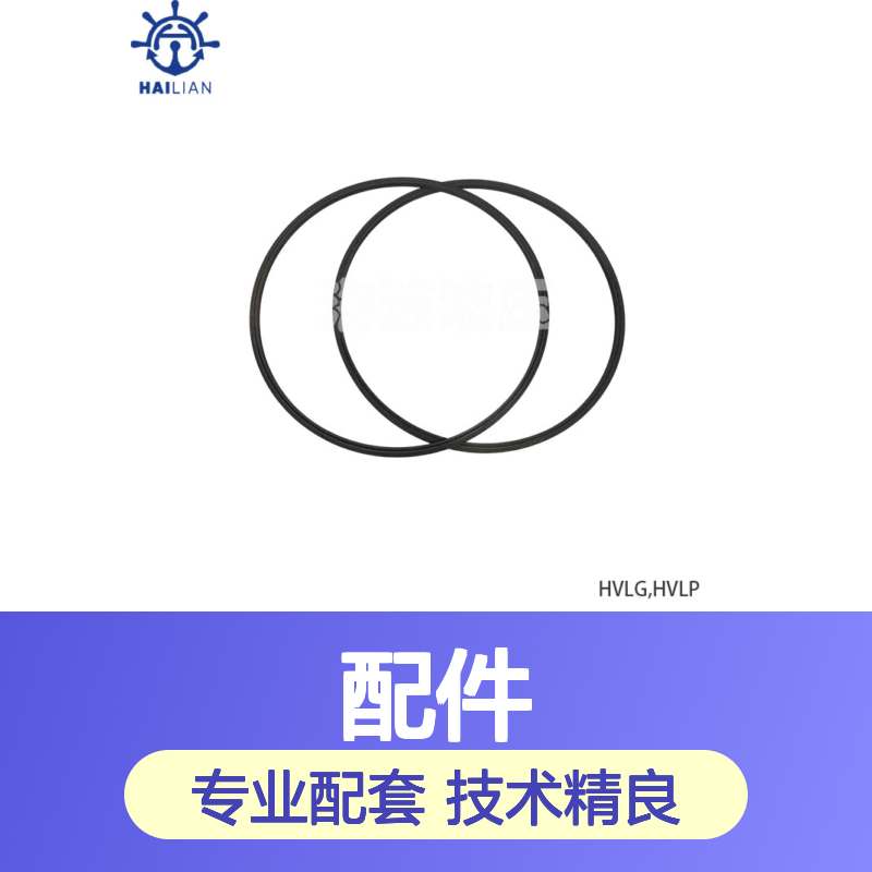 HVLG,HVLP液压叶片马达专用密封环配件SEAL RING 品质可靠
