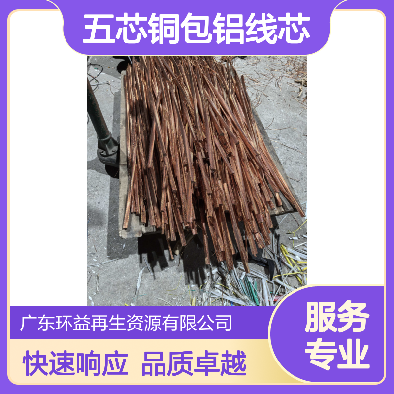 回收CCS认证旧电缆 五芯铜包铝线芯 快速响应 动态弯曲500mm