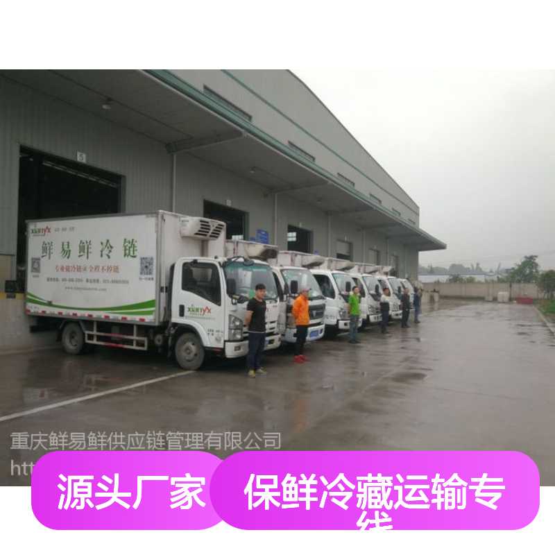 鲜易鲜冷链 保鲜冷藏运输专线 农产品禽肉海鲜水产品配送