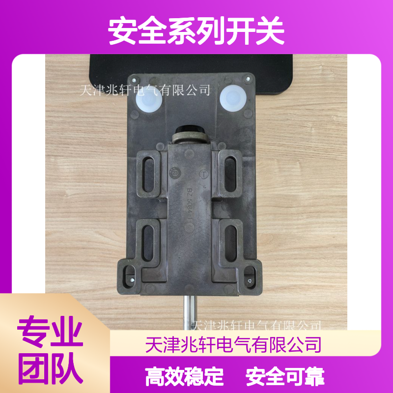 施迈赛 安全系列开关 AZM190-11/01RK24VDC安全锁供应