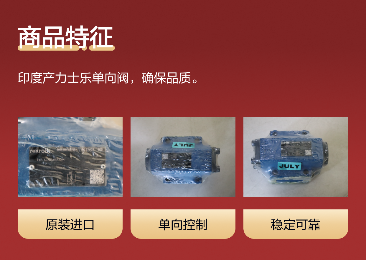 R900587559 SL20PA1-4X/M SL20PA1-42/M 力士乐REXROTH单向阀印度产