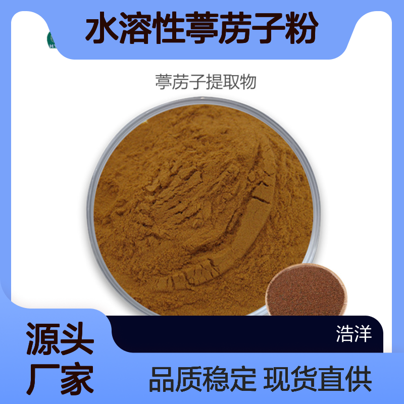 葶苈子提取物 10:1 水溶性葶苈子粉 现货直供 品质稳定 浩洋生物